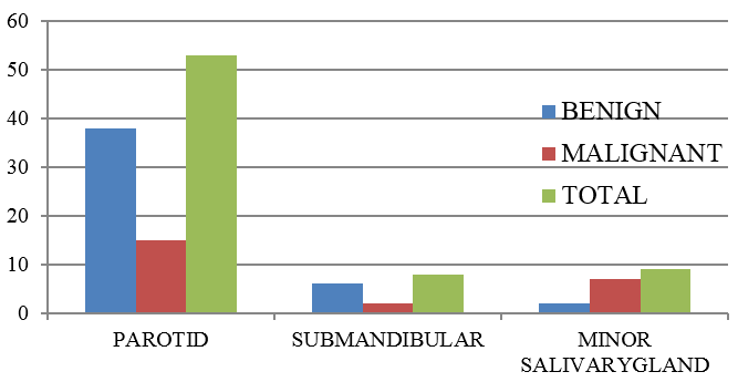 Showing site distribution of benign and malignant salivary gland lesion