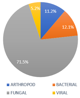 Infectious dermatoses