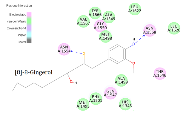 The 2D PKS- [S]-8-Gingerol interaction