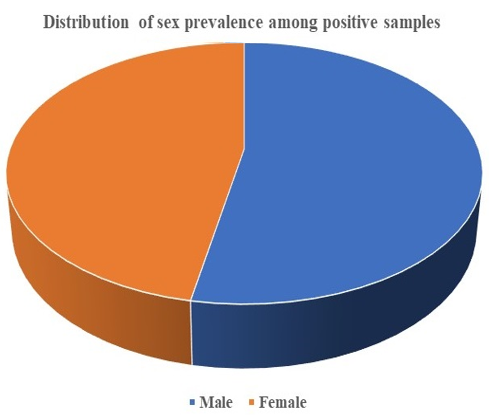 Distribution of sex prevalence amongst positive samples