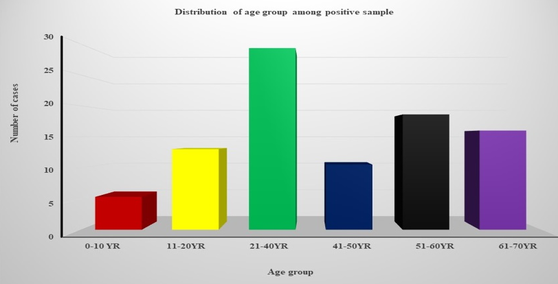 Distribution of age group among positive sample.