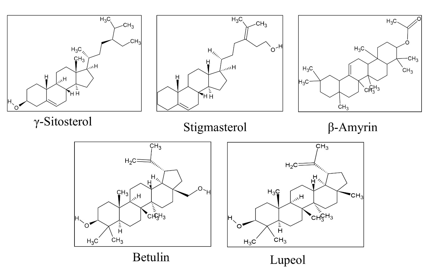 Phytocompounds of C. grandis act as ligands in molecular docking analysis