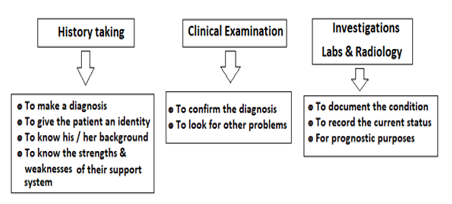 Diagnosis at the primary/Secondary levels of healthcare scheme for diagnosis and care