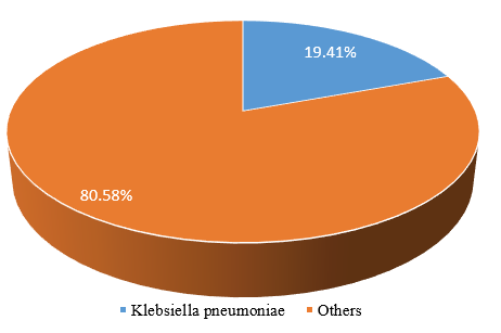 Prevalence of K. pneumoniae among UTI patients at Mama Lucy Hospital.