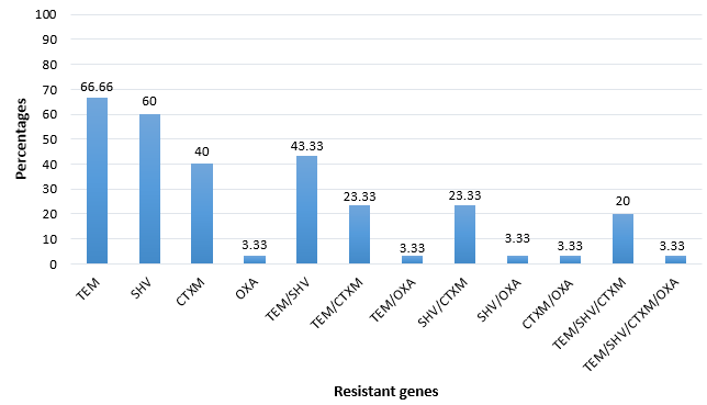 Resistant genes of K. pneumoniae