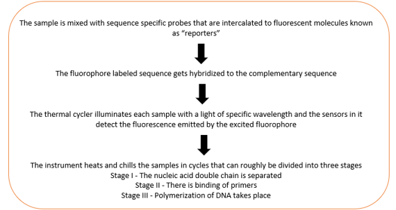 Steps in quantitative polymerase chain reaction (qPCR)