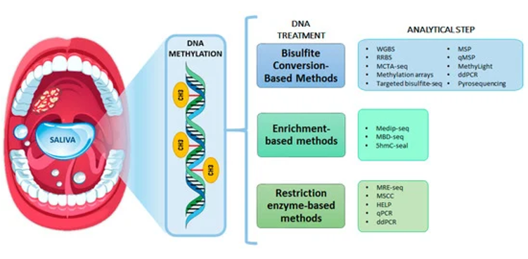 Pictorial representation of the technologies for DNA-methylation evaluation (Óscar Rapado-González)