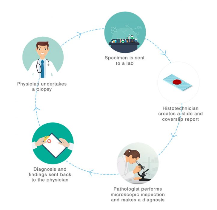 Traditional system of AI in pathology