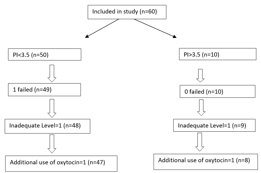 Consort flow diagram