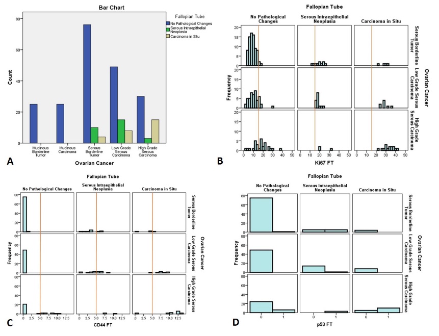 A): The distribution of fallopian tube lesions in patients with different types and grades of ovarian cancer, B): The distribution of Ki67 labelling index in normal and affected fallopian tubes according to matched ovarian cancer, C): The distribution of CD44 stem cell marker in normal and affected fallopian tubes according to matched ovarian cancer, D): The distribution of p53 mutation status (0-wild type, 1-mutation) in normal and affected fallopian tubes according to matched ovarian cancer