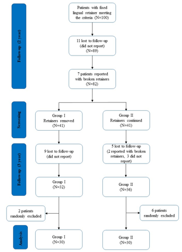 Flow chart of the experimental design.