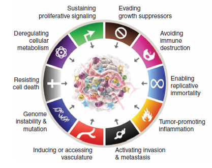 The hallmarks of cancer currently are eight functional capabilities and two enabling characteristics.
