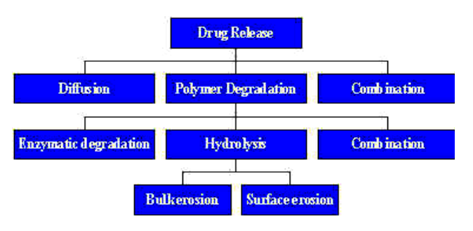 Possible drug release mechanisms for polymeric drug delivery 5