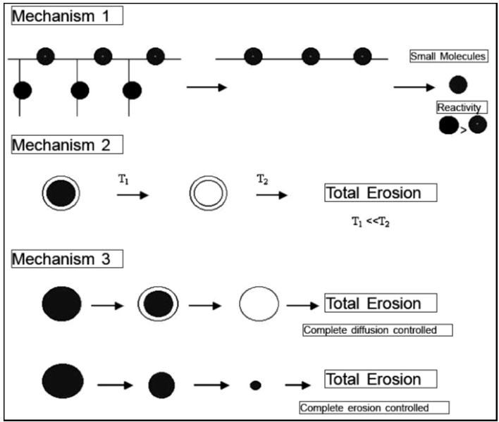 Schematic representation of drug release mechanisms in mechanism 1, drug is released by hydrolysis of polymeric bond. In mechanism 2, drug release is controlled by biodegradable membrane. In mechanism 3, drug is released by erosion, diffusion, or a combination of both.10