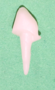 Custom post, Sintered and finished Zirconia post