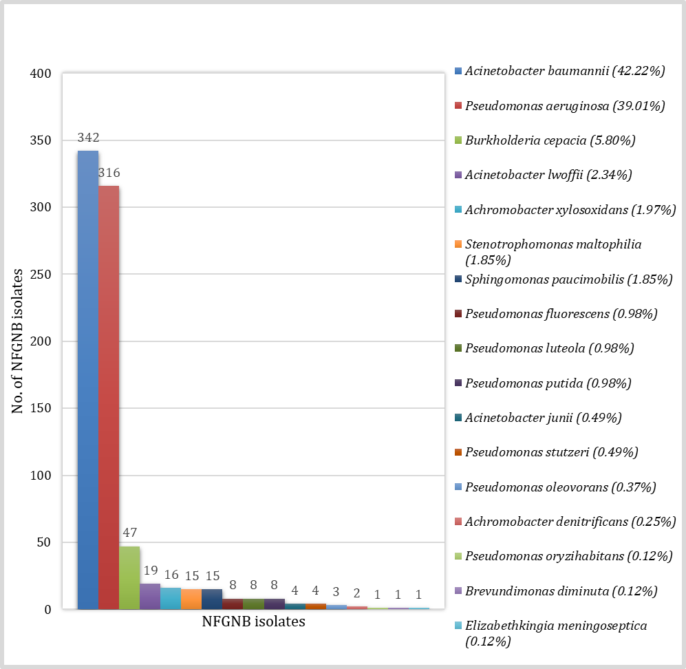 The Emerging Trends or Exploration of the Existing: The Spectrum of Non-Enterobacterales Highlighting an Emerging Therapeutic Concern