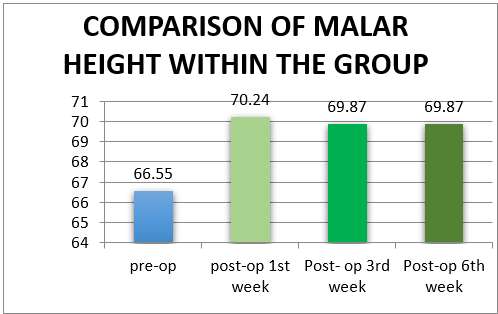 Comparison of malar height within the group