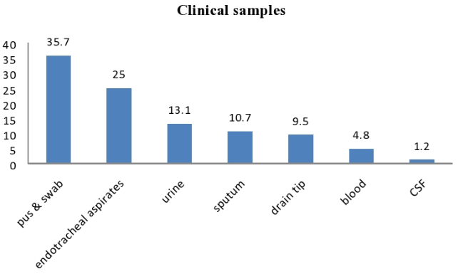 Type of specimens distribution of Pseudomonas aeruginosa from various clinical samples