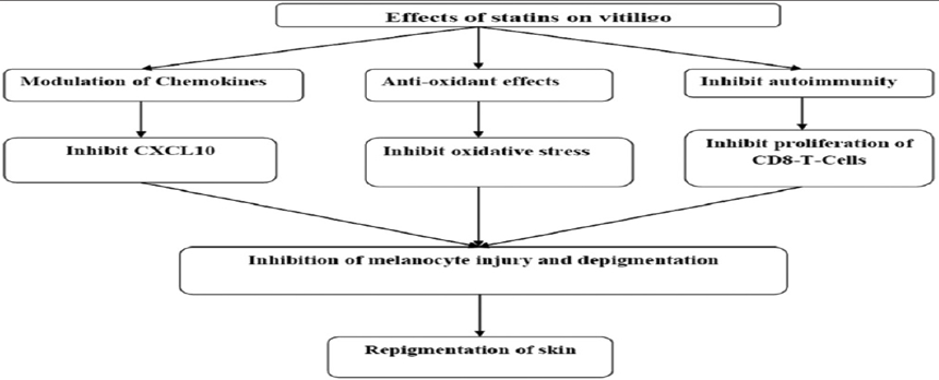 Action of statins on vitiligo
