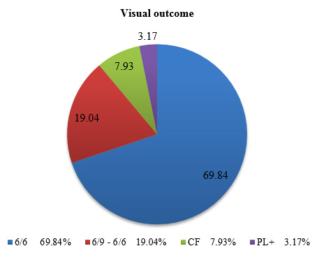 Visual outcome in the patients
