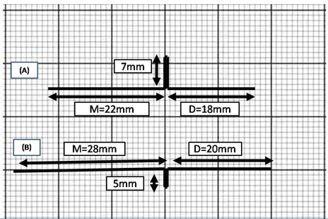 Dimensions of Upper and Lower Bull Loop