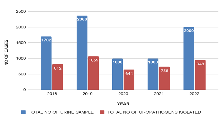 Year wise distribution of the UTI cases