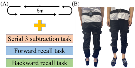 Set-Up of the experimental—investigation procedure. (A) Model paradigms of the investigation. (B) Point of the sensing-instrumented sensors