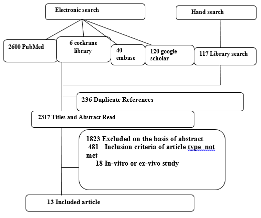 Search strategy