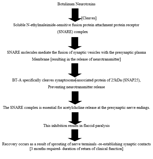 Mechanism of action