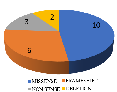 No of missense, frameshift, non-sense, deletion mutations.