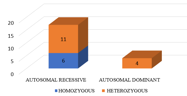 Inheritance pattern among 17 patients