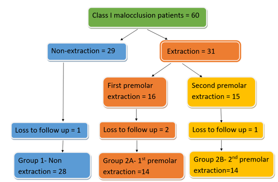 Flow chart for sample distribution