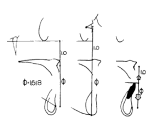(6) A-Pm to A-FH (7) Eye to nasal floor – nasal floor to Menton (8) L1-Pm to L1-A