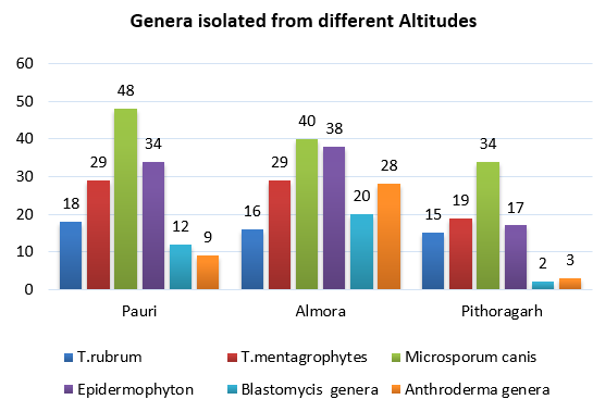 Above graphica  was collected from Pithoragarh, Almora & Pauri patients reach public hospitals of Almora, Haldwani & Pauri, indicating the various mycosis genera isolated from each area.