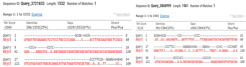 Squalene epoxidase of isolated species Trichophyton & Microsporum when compared to T.indotineae at NCBI FASTA global alignments it was found 25% similar with mutated primers.