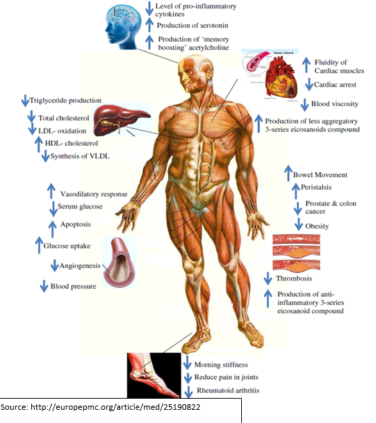 Physiological Effects of Functional Elementsin Flax Seeds
