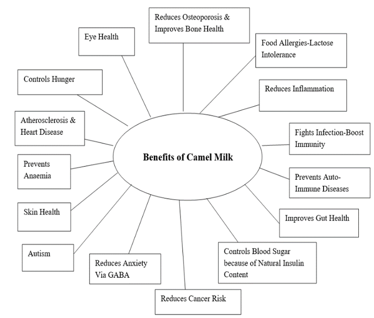 Various nutritional and health benefits of camel milk