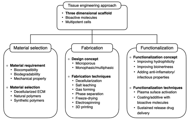 Summary of scaffold designing and fabrication concept. Tissue engineering approach involves the combination of scaffolds, bioactive molecules, and multipotent cells. Scaffold functionality is determined by the selection of materials, fabrication methods, and functionalization techniques.