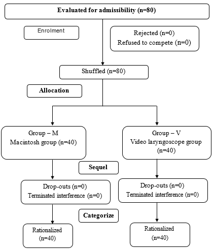 Consort flow diagram