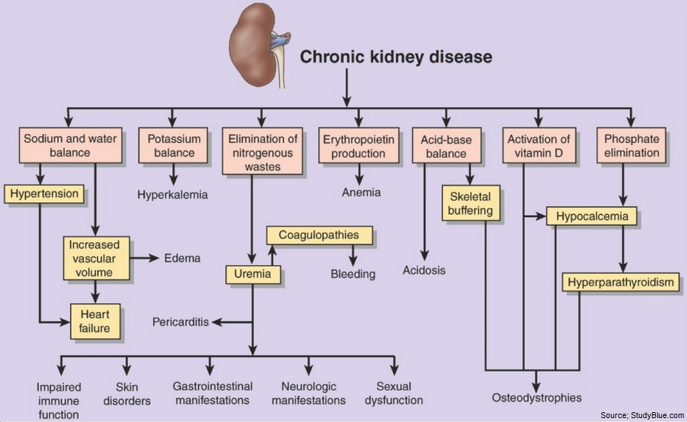 Chronic kidney diasease.
