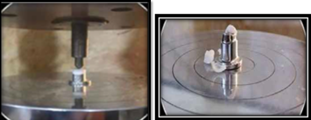 Universal testing machine (Instron 1195, Germany)