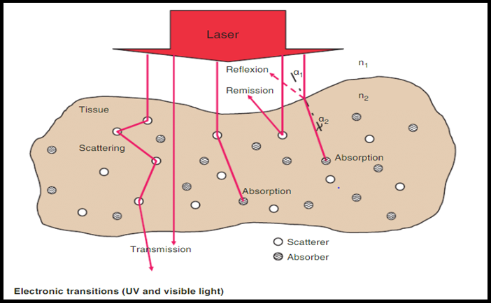 LASER interaction with tissues.