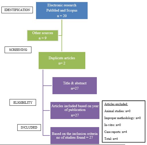 PRISMA (Preferred Reporting Items for Systematic Reviews and Meta‐Analyses) flowchart showing search strategy