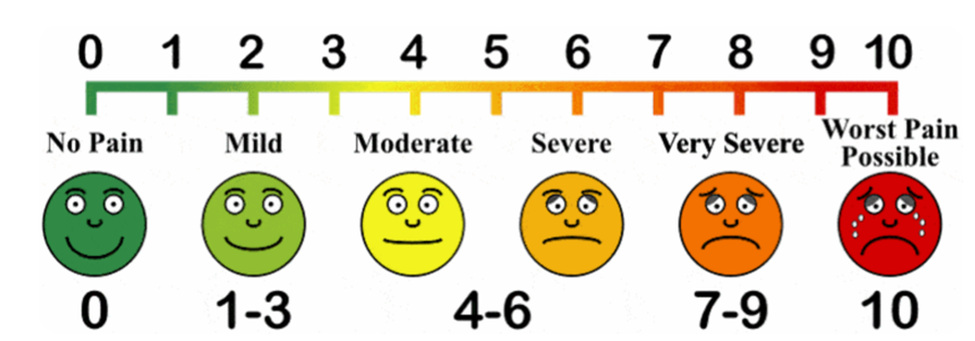 Visual Analogue Scale