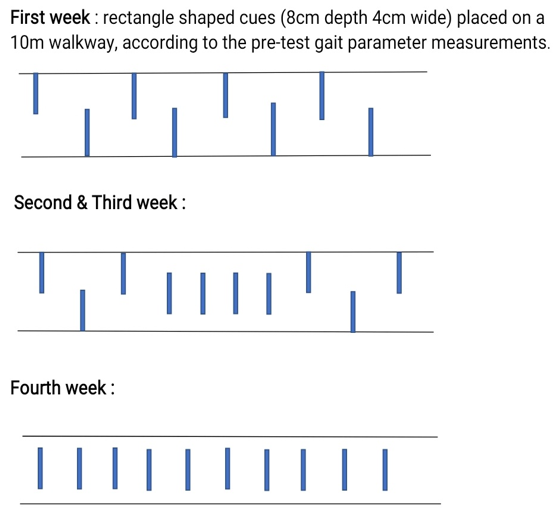 The figure shows representation for the pathways provided to the subjects during each week
