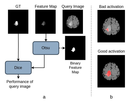 Image selection criteria (a) and examples of good and bad activation superimposed on the original image (b)