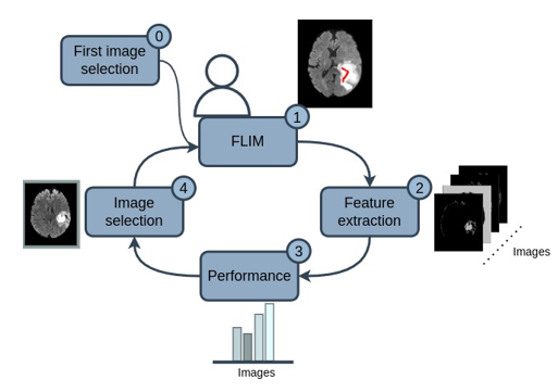 Our interactive approach. Learn filters from image markers, then select the next image depending on execution of learned filters.
