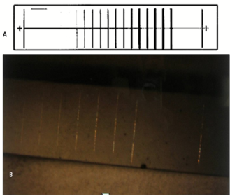 Photograph showing the A – the schematic diagram of the die, B – the replicated lines on a test specimen as viewed under a stereomicroscope