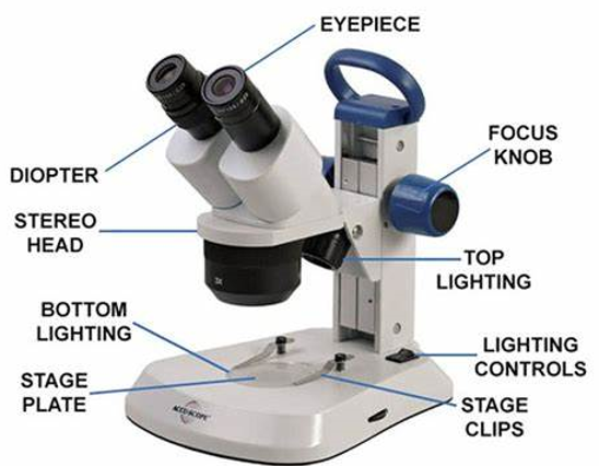 Stereo microscope