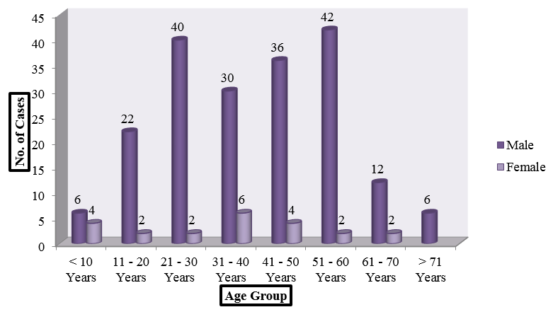 Age and gender wise distribution of cases
